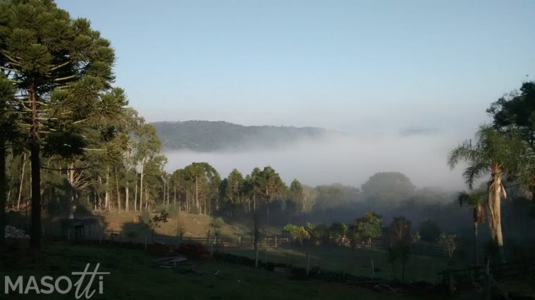 Imagem Chácara à Venda, 30.000 m² em Caracol - Canela Imagem Chácara à Venda, 30.000 m² em Caracol - Canela
