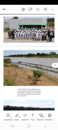 Imagem Chácara com 5 Quartos à Venda, 100 m² em Muquém De São Francisco