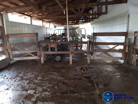 Imagem Chácara à Venda, 8 m² em Zona Rural - Corumbaíba Imagem Chácara à Venda, 8 m² em Zona Rural - Corumbaíba