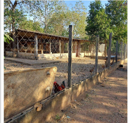 Imagem Chácara com 3 Quartos à Venda, 34 m² em Nossa Senhora Da Guia - Cuiabá Imagem Chácara com 3 Quartos à Venda, 34 m² em Nossa Senhora Da Guia - Cuiabá