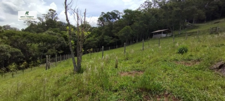 Imagem Fazenda à Venda, 5.000 m² em Alto Da Serra - São Roque Imagem Fazenda à Venda, 5.000 m² em Alto Da Serra - São Roque
