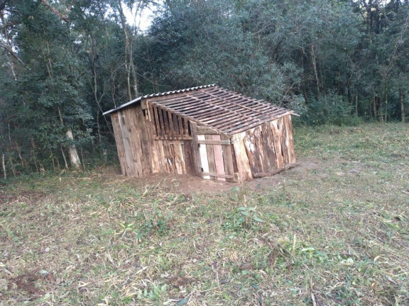 Imagem Imóvel com 4 Quartos à Venda, 24.200 m² em água Azul - Lapa Imagem Imóvel com 4 Quartos à Venda, 24.200 m² em água Azul - Lapa