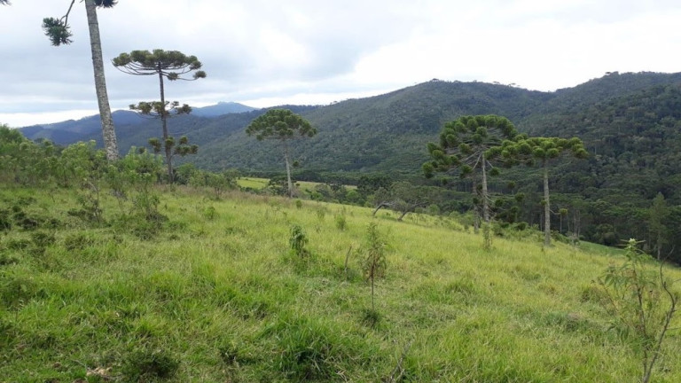 Imagem Fazenda à Venda, 120 m² em Centro - Passa Quatro Imagem Fazenda à Venda, 120 m² em Centro - Passa Quatro