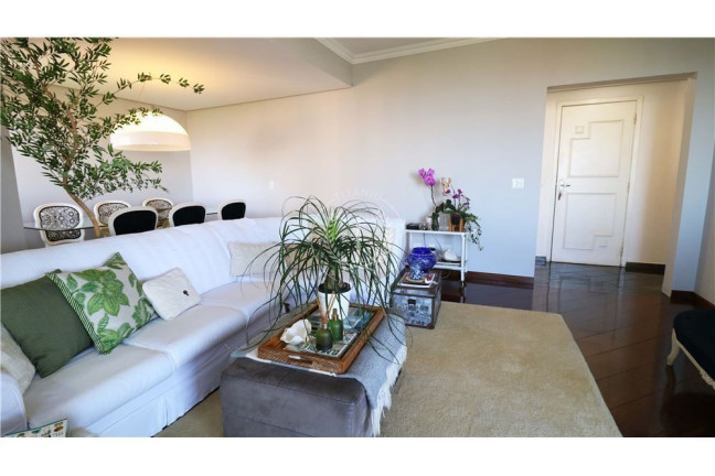 Imagem Apartamento com 5 Quartos à Venda, 170 m² em Vila Suzana - São Paulo Imagem Apartamento com 5 Quartos à Venda, 170 m² em Vila Suzana - São Paulo