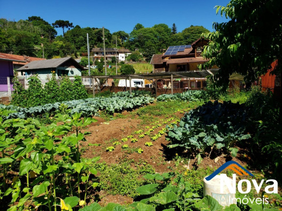 Imagem Imóvel à Venda, 450 m² em Juriti - Nova Petrópolis Imagem Imóvel à Venda, 450 m² em Juriti - Nova Petrópolis