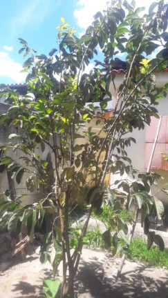 Imagem Imóvel com 2 Quartos à Venda, 80 m² em Campo Grande - Rio De Janeiro Imagem Imóvel com 2 Quartos à Venda, 80 m² em Campo Grande - Rio De Janeiro