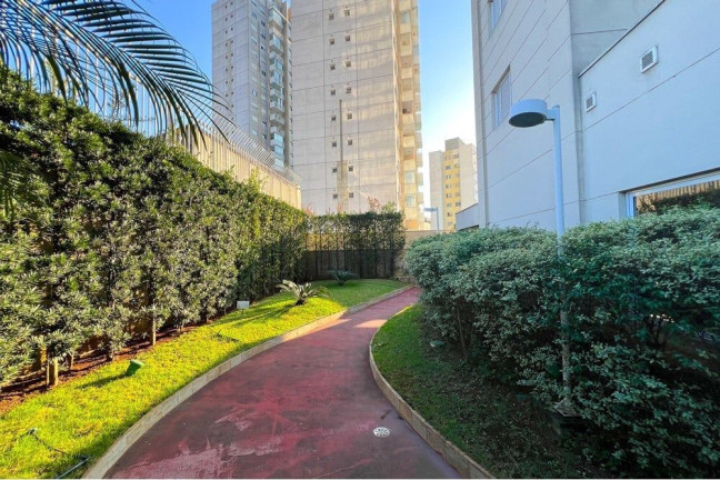 Imagem Apartamento com 2 Quartos à Venda, 46 m² em Cambuci - São Paulo