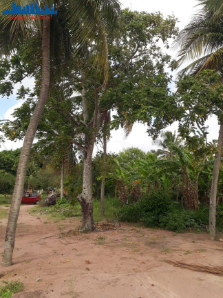 Imagem Chácara à Venda, 4 m² em Guajirú - São Gonçalo Do Amarante