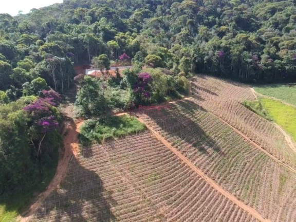 Imagem Imóvel à Venda, 558.000 m² em Pedra Azul - Domingos Martins Imagem Imóvel à Venda, 558.000 m² em Pedra Azul - Domingos Martins