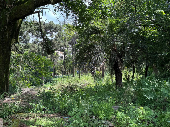 Imagem Terreno à Venda, 1.347 m² em Osasco - Colombo Imagem Terreno à Venda, 1.347 m² em Osasco - Colombo