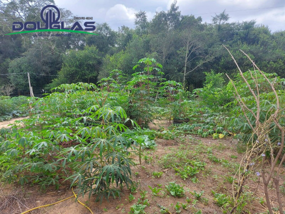 Imagem Casa à Venda, 530 m² em Viamão