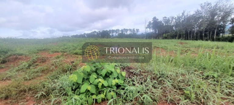 Imagem Terreno à Venda, 1.004 m² em Condomínio Estância Parque Atibaia Ii - Atibaia Imagem Terreno à Venda, 1.004 m² em Condomínio Estância Parque Atibaia Ii - Atibaia