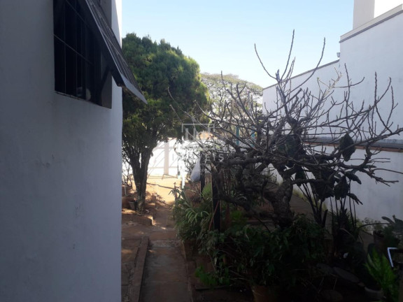 Imagem Casa com 4 Quartos à Venda, 262 m² em Centro - São Carlos Imagem Casa com 4 Quartos à Venda, 262 m² em Centro - São Carlos