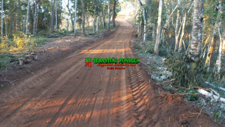 Imagem Chácara à Venda, 30.000 m² em Centro - Monteiro Lobato Imagem Chácara à Venda, 30.000 m² em Centro - Monteiro Lobato