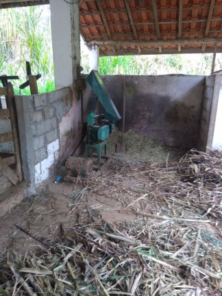 Imagem Fazenda à Venda, 600 m² em Lagoa - Paraibuna