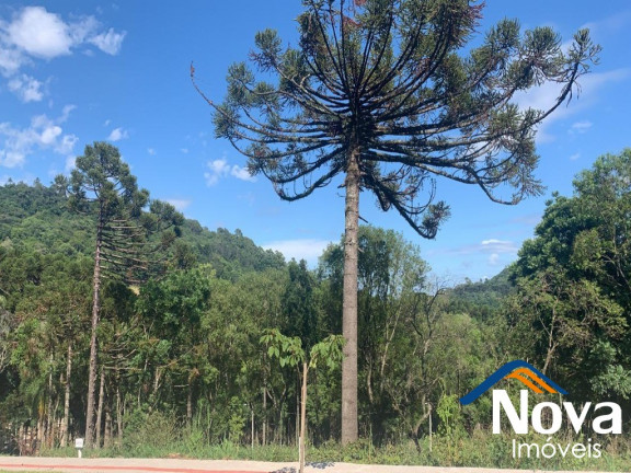 Imagem Imóvel à Venda, 444 m² em Linha Imperial - Nova Petrópolis Imagem Imóvel à Venda, 444 m² em Linha Imperial - Nova Petrópolis