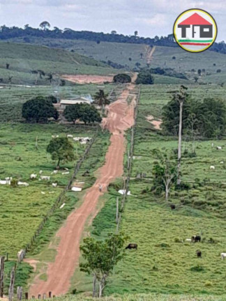 Imagem Fazenda à Venda, 51.304.000 m² em Zona Rural - Itupiranga Imagem Fazenda à Venda, 51.304.000 m² em Zona Rural - Itupiranga