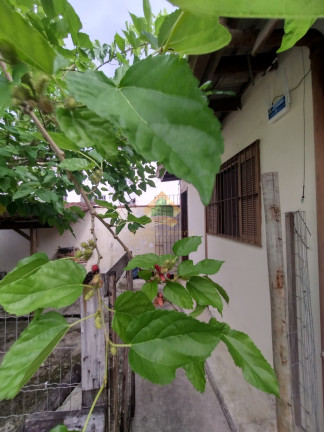 Terreno à Venda, 101 m² em Silop - Ubatuba