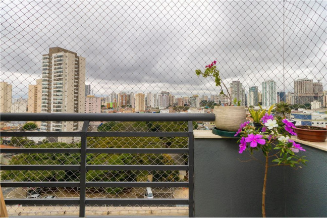 Imagem Apartamento com 3 Quartos à Venda, 70 m² em Tatuapé - São Paulo Imagem Apartamento com 3 Quartos à Venda, 70 m² em Tatuapé - São Paulo