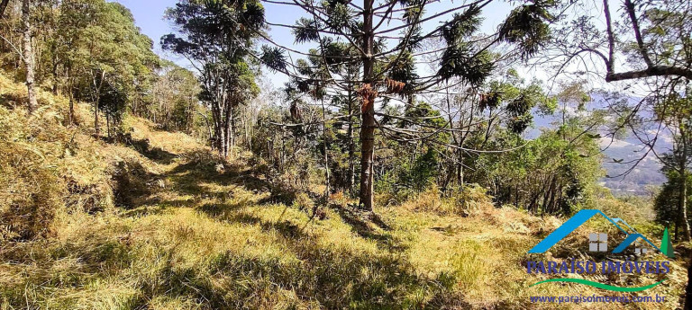 Imagem Chácara à Venda, 49 m² em Centro - Gonçalves