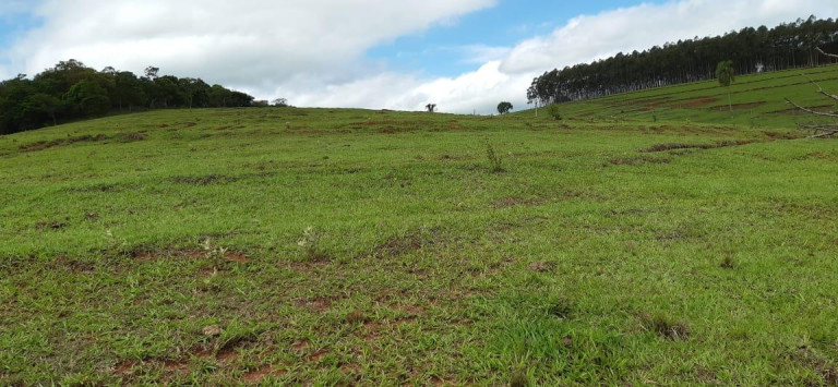 Imagem Chácara à Venda, 13 m² em Rural - Piraju Imagem Chácara à Venda, 13 m² em Rural - Piraju