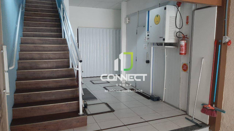 Imagem Casa com 3 Quartos à Venda, 308 m² em Cordeiros - Itajaí Imagem Casa com 3 Quartos à Venda, 308 m² em Cordeiros - Itajaí