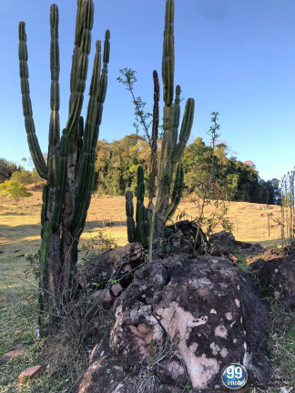 Imagem Chácara à Venda, 62.900 m² em Pardinho