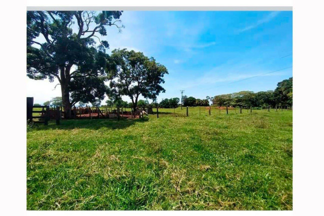 Imagem Chácara à Venda, em Cuiabá Imagem Chácara à Venda, em Cuiabá