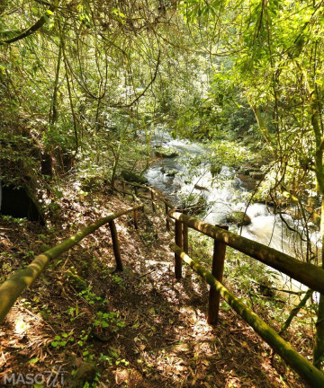 Imagem Chácara com 3 Quartos à Venda, 300.000.000 m² em Linha 28 - Gramado Imagem Chácara com 3 Quartos à Venda, 300.000.000 m² em Linha 28 - Gramado