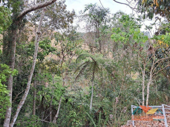Imagem Chácara com 2 Quartos à Venda, 100 m² em Zona Rural - Paraibuna