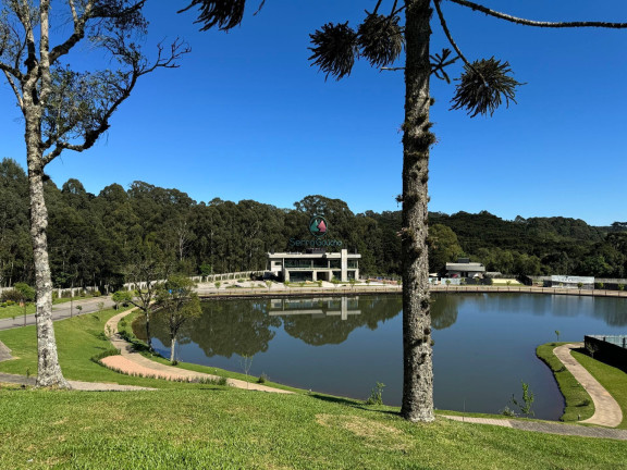 Imagem Terreno à Venda, 978 m² em Vale Das Colinas - Gramado Imagem Terreno à Venda, 978 m² em Vale Das Colinas - Gramado