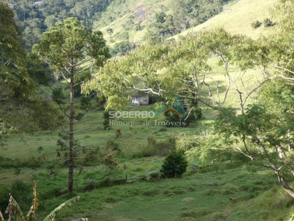 Imagem Terreno à Venda, 840.000 m² em Três Córregos - Teresópolis Imagem Terreno à Venda, 840.000 m² em Três Córregos - Teresópolis