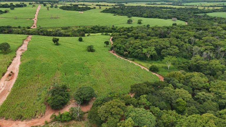 Imagem Fazenda à Venda, 120 m² em Zona Rural - Valentim Gentil Imagem Fazenda à Venda, 120 m² em Zona Rural - Valentim Gentil