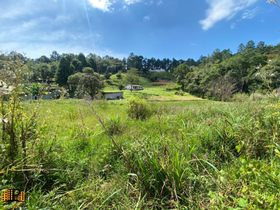 Imagem Imóvel com 2 Quartos à Venda, 7.000 m² em Girassol - São Lourenço Da Serra Imagem Imóvel com 2 Quartos à Venda, 7.000 m² em Girassol - São Lourenço Da Serra