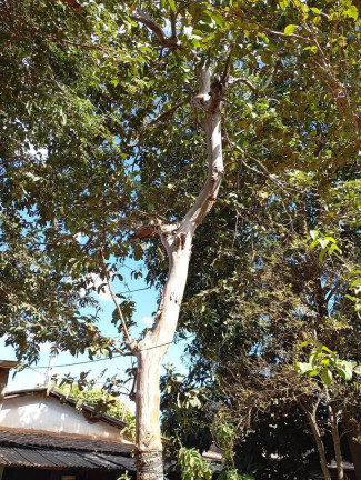 Imagem Terreno à Venda, 600 m² em Riacho Fundo Ii - Brasília