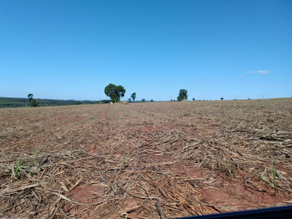 Imagem Chácara à Venda, 29 m² em Rural - Avaré