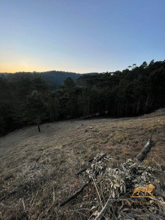 Imagem Terreno à Venda, 1.050 m² em Vale Encantado - Campos Do Jordão Imagem Terreno à Venda, 1.050 m² em Vale Encantado - Campos Do Jordão