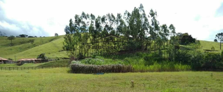 Imóvel com 3 Quartos à Venda, 36.300 m² em Catioquinha - Cunha