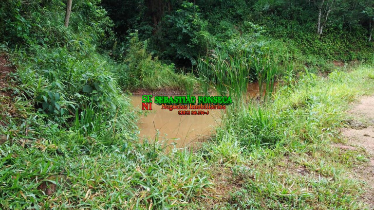 Imagem Fazenda à Venda, 65 m² em Centro - Cunha Imagem Fazenda à Venda, 65 m² em Centro - Cunha