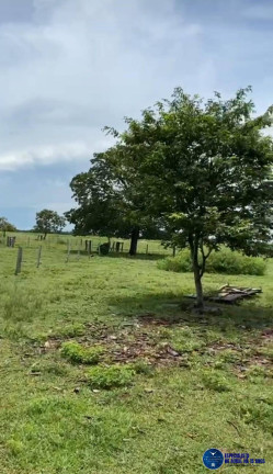 Imagem Fazenda à Venda, 302 m² em Zona Rural - Araguaiana Imagem Fazenda à Venda, 302 m² em Zona Rural - Araguaiana