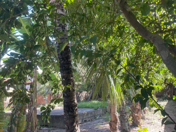 Imagem Terreno à Venda, 437 m² em Jardim São Paulo - Araruama Imagem Terreno à Venda, 437 m² em Jardim São Paulo - Araruama