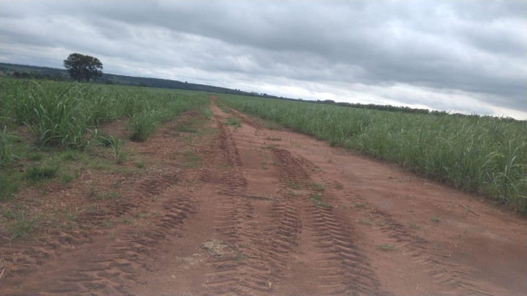 Imagem Fazenda à Venda, 42 m² em Rural - Avaré