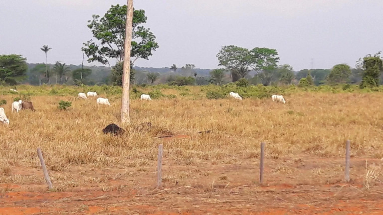 Imagem Fazenda à Venda, 242 m² em Zona Rural - Itaúba Imagem Fazenda à Venda, 242 m² em Zona Rural - Itaúba