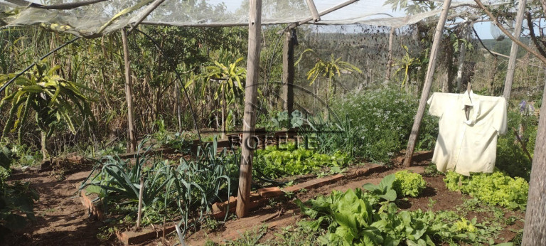 Imagem Imóvel com 3 Quartos à Venda, 22.800 m² em São Marcos - Bofete Imagem Imóvel com 3 Quartos à Venda, 22.800 m² em São Marcos - Bofete