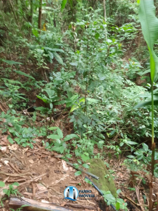 Imagem Imóvel com 2 Quartos à Venda, 71.000 m² em Parque Xerém - Duque De Caxias Imagem Imóvel com 2 Quartos à Venda, 71.000 m² em Parque Xerém - Duque De Caxias