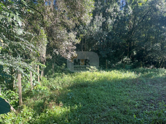 Imagem Casa com 2 Quartos à Venda, 336 m² em Pousada Da Neve - Nova Petrópolis Imagem Casa com 2 Quartos à Venda, 336 m² em Pousada Da Neve - Nova Petrópolis