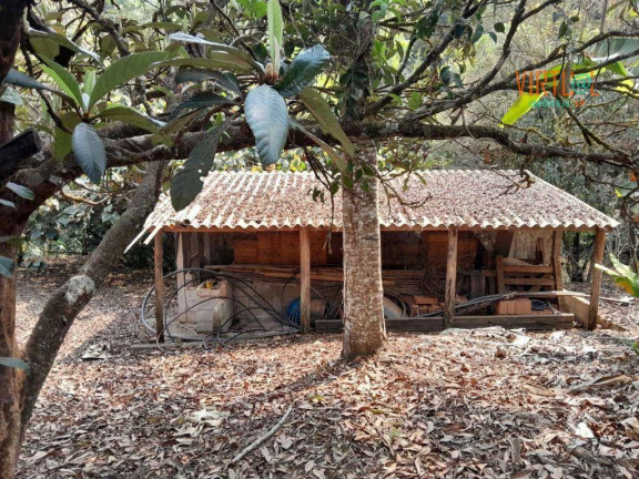 Imagem Fazenda à Venda, 25.800 m² em Caconde - Caconde