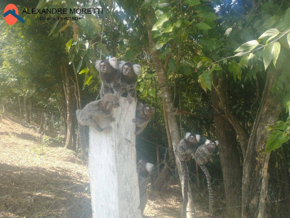 Imagem Terreno à Venda, em Araçoiaba Da Serra Imagem Terreno à Venda, em Araçoiaba Da Serra