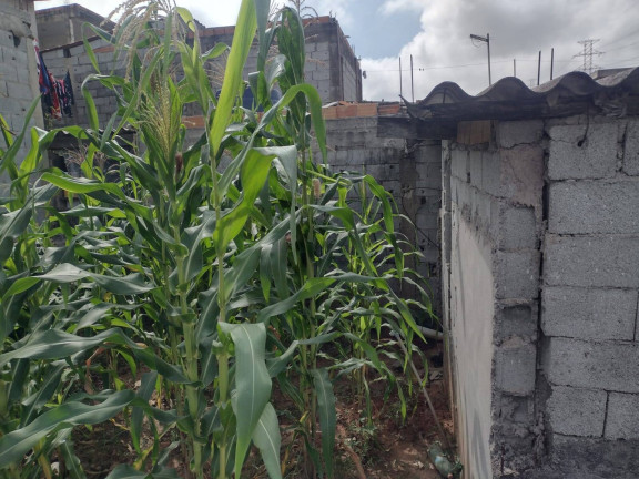 Imagem Terreno à Venda, 120 m² em Jardim Itapuã - Itaquaquecetuba Imagem Terreno à Venda, 120 m² em Jardim Itapuã - Itaquaquecetuba