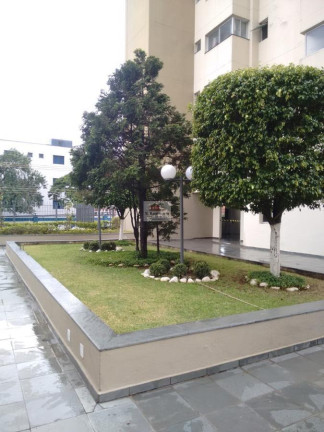 Imagem Apartamento com 2 Quartos à Venda, 58 m² em Vila Matilde - São Paulo Imagem Apartamento com 2 Quartos à Venda, 58 m² em Vila Matilde - São Paulo